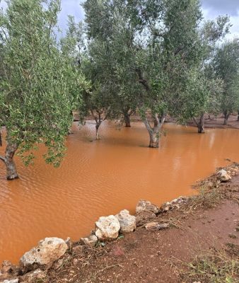 nubifragio nel brindisino