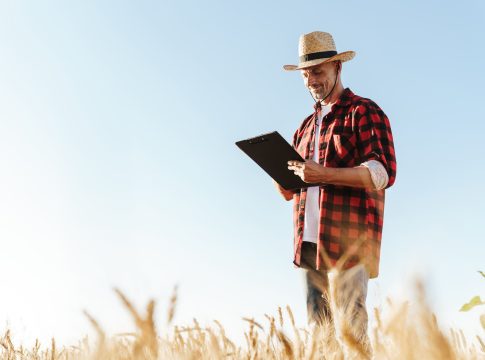 Grano duro: otto azioni efficaci per gestire la volatilità grano duro