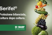 serifel