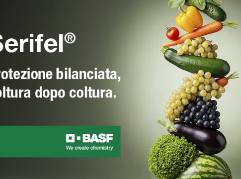 Serifel®, ora disponibile su un’ampia gamma di orticole serifel
