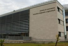 Grano duro: agricoltori contro borse merci di Bari e Foggia borse merci