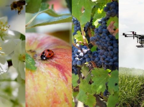 Corsi per i consulenti e gli attori degli AKIS corsi AKIS