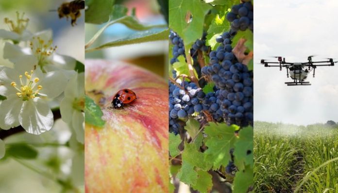 Corsi AKIS 2025 corsi AKIS