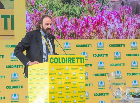 Cibo, cervello e longevità: «La vera emergenza è l’ultraprocessato» cibo