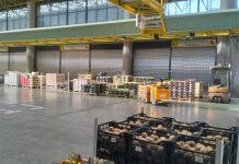 Decollano i cavolfiori, bene anche zucche e zucchine