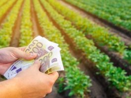 Lazio, bando da 10 milioni per diversificare le imprese regione Lazio