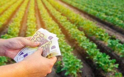 Lazio, bando da 10 milioni per diversificare le imprese regione Lazio