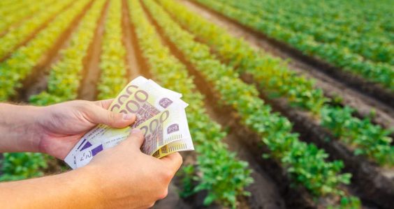 Lazio, bando da 10 milioni per diversificare le imprese