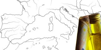 frode mercato oleario