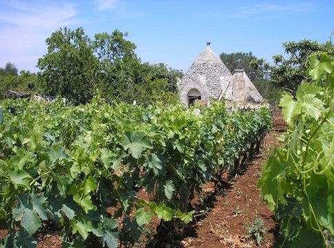 Regione Puglia, impegni per passare dal Psr al Csr