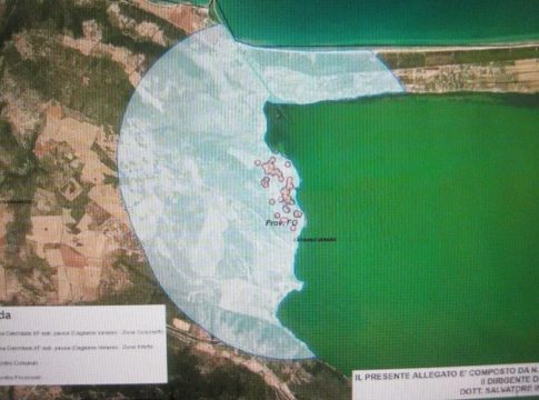 Xylella è arrivata nel Foggiano: 47 olivi infetti a Cagnano Varano