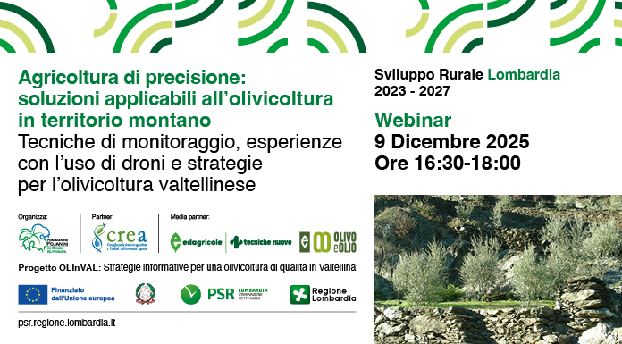 An image representing Webinar “Agricoltura di precisione: soluzioni applicabili all’olivicoltura in territorio montano”