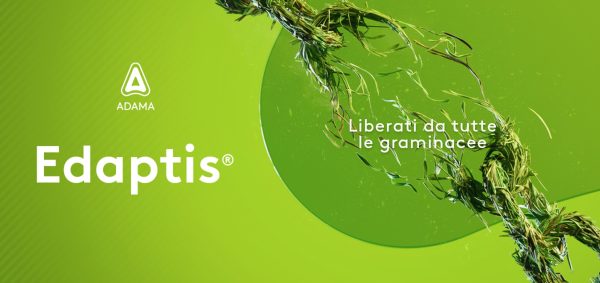 Edaptis Adama