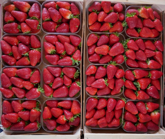 Fragole casse prezzi ortofrutta fragole
