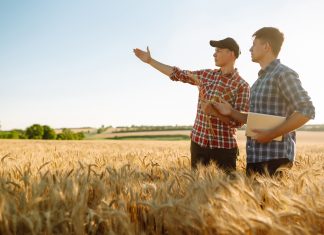 La nuova strategia europea per il futuro dell’agricoltura giovani