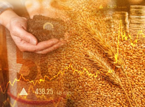 Grano, il 12 giugno mobilitazione nei porti di Bari e Ravenna