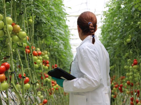 Tecnova, 25 anni di innovazione al servizio dell’orticoltura mediterranea