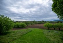 piccola proprietà contadina