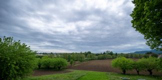 piccola proprietà contadina