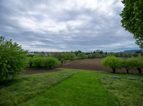 Piccola proprietà contadina: agevolazioni anche se i terreni diventano edificabili piccola proprietà contadina