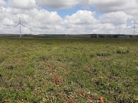 Il Sud Italia ha sete crisi idrica