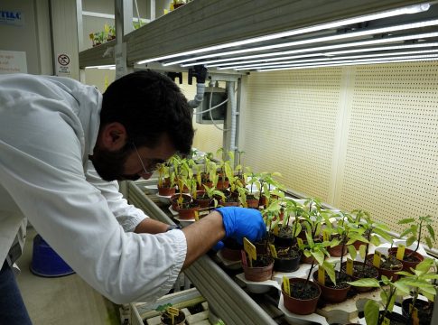 Viaggio nel centro ricerche Basf: come nasce una nuova varietà