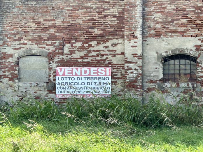 vendita terreno terreni agricoli