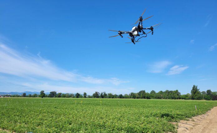 droni drone su pomodoro droni