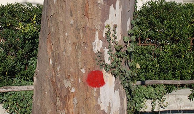 Scudi sempre attivi contro le minacce aliene insetti alieni