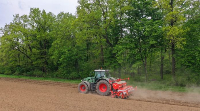 Maschio Gaspardo Chrono 306 velocità, precisione e versatilità