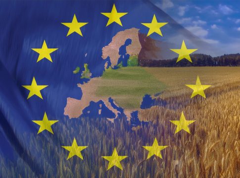 Europa agricola, è l’ora della verità europa agricola