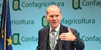 «Dall’Ue una visione per coniugare sostenibilità e reddito, non solo regole» confagricoltura