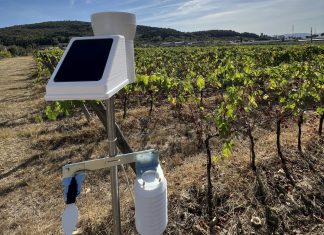 Food metaverse, in Piemonte posata la prima centralina Food metaverse