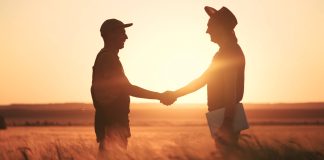 Gruppi operativi Pei Agri