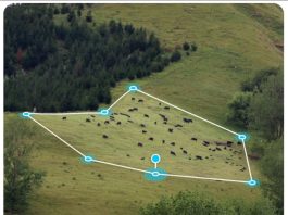 Virtual fencing, e il pascolo cambia