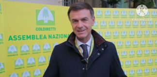 Coldiretti, «Bene candidatura Roma per ospitare Autorità doganale europea»