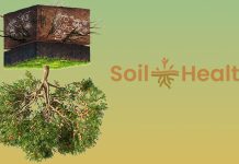 La salute del suolo si può recuperare biostimolante viva