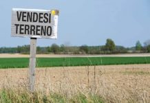 Mercato fondiario, il calo dell’inflazione dà valore alla terra mercato fondiario