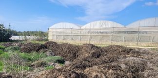 Serricoltura sostenibile: un progetto per la filiera circolare della fratta