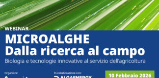 Webinar: Microalghe, dalla ricerca al campo