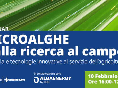 Webinar: Microalghe, dalla ricerca al campo