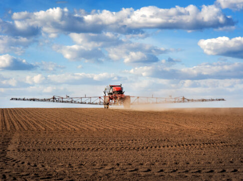 Difesa sguarnita difesa