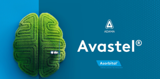 Avastel di Adama, difesa fungicida efficace e duratura nei cereali AvasteL_Adama