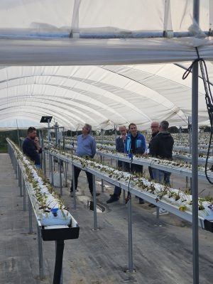 bilanci fitosanitari Aipp