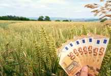Al Piemonte 20 milioni per sostenere le aziende agricole tasso zero