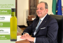 piano olivicolo nazionale