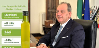 piano olivicolo nazionale