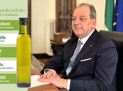 piano olivicolo nazionale