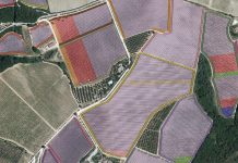 immagini satellitari