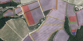 immagini satellitari